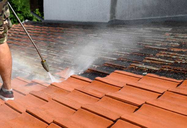 Best Pressure Washing Company Near Me  in Garner, IA