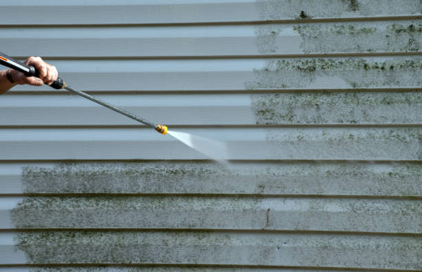 Best Exterior Home Cleaning  in Garner, IA